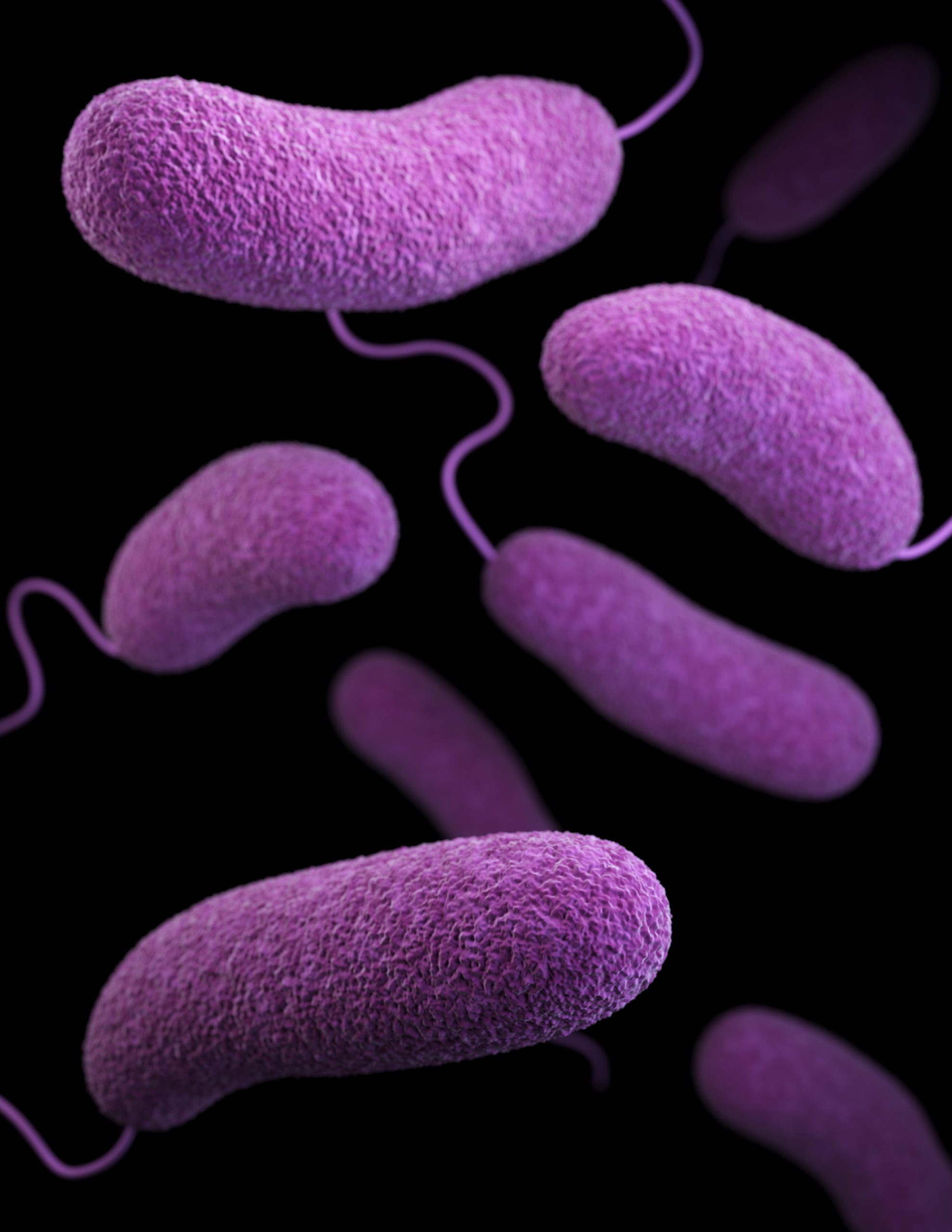 Bacterias ETS