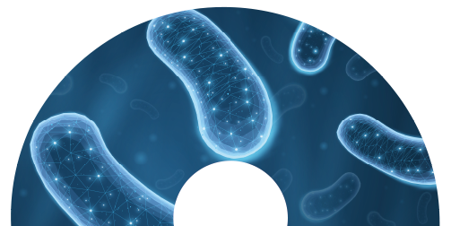 microbioma_donut
