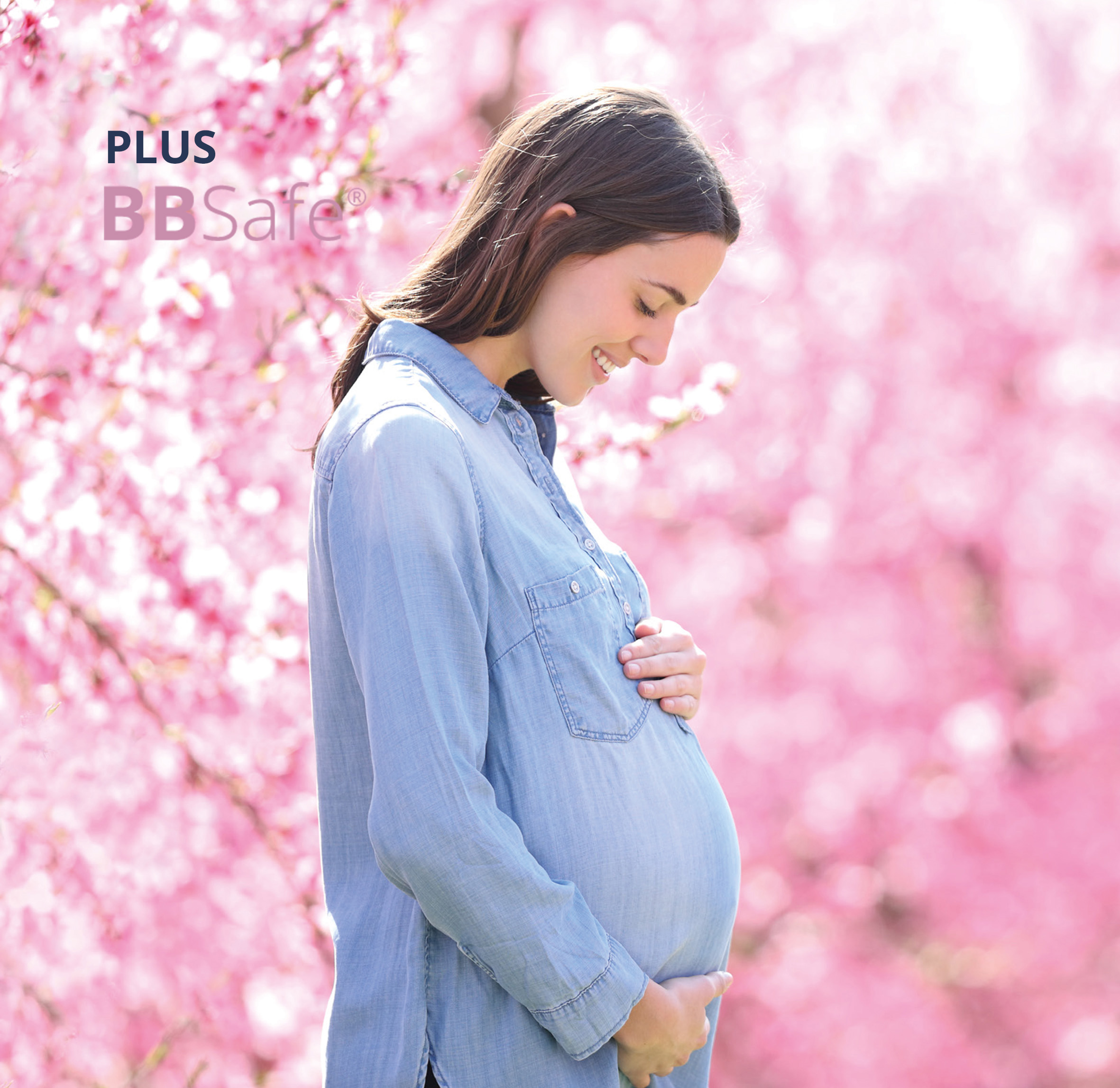BBSafe Plus
