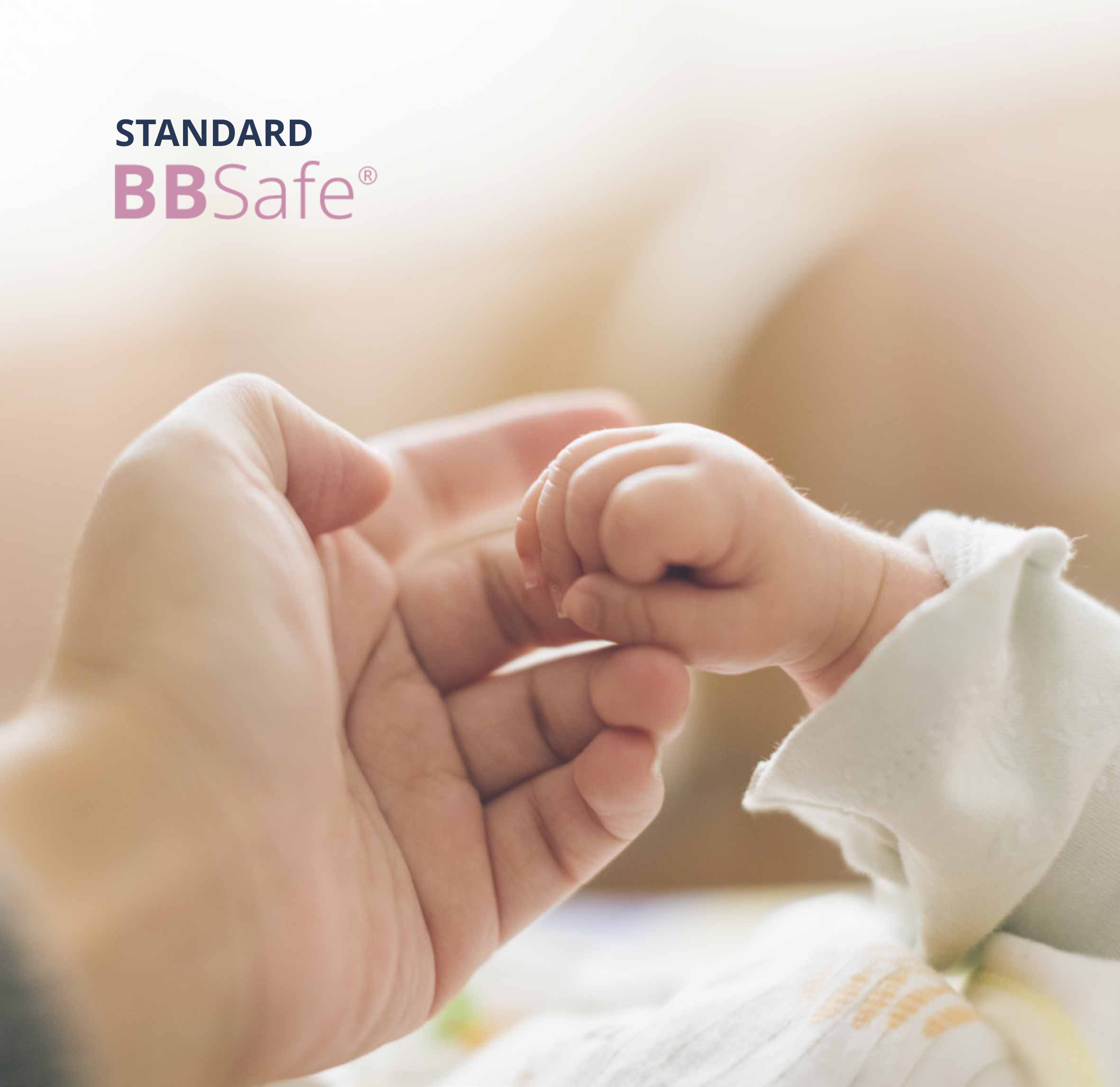 BBSafe Standard